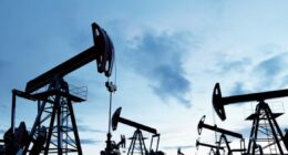 Opep+ acerta aumento na produção de petróleo a partir de setembro