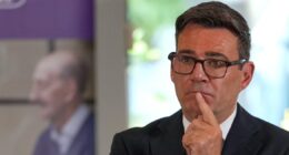 Privatização exitosa requer Estado forte, capaz de forçar a convergência entre público e privado