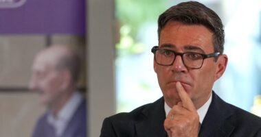 Privatização exitosa requer Estado forte, capaz de forçar a convergência entre público e privado