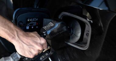 Subvenção à gasolina: governo estuda nova prorrogação por 30 dias