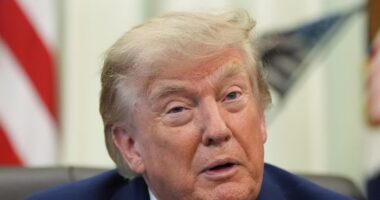 Trump anuncia série de projetos de mineração com investimento de bilhões de dólares