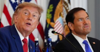Trump anuncia tarifas de até 100% sobre drones importados