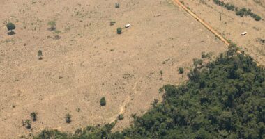 Uma política de desenvolvimento regional à altura da Amazônia