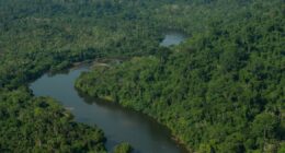 Brasil tenta avançar em cooperação com a China em mercados de carbono