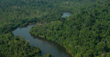 Brasil tenta avançar em cooperação com a China em mercados de carbono