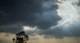 Deloitte vê mais fusões e aquisições em ano de El Niño