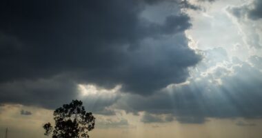 Deloitte vê mais fusões e aquisições em ano de El Niño