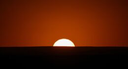 Filantropia climática: quando o sucesso é deixar de ser necessário