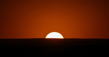 Filantropia climática: quando o sucesso é deixar de ser necessário