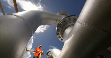 Governo inclui gasoduto para abastecer usinas termelétricas de megaleilão de energia no PAC