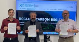Mercado de carbono: USP firma parceria com Greenline para registro digital de projetos no Brasil