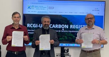 Mercado de carbono: USP firma parceria com Greenline para registro digital de projetos no Brasil