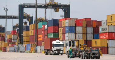Porto de Santos bate recorde na movimentação de contêineres em agosto