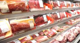 Regra da UE contra carne brasileira é mais barreira comercial do que questão de segurança alimentar