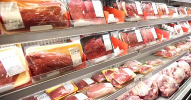 Regra da UE contra carne brasileira é mais barreira comercial do que questão de segurança alimentar