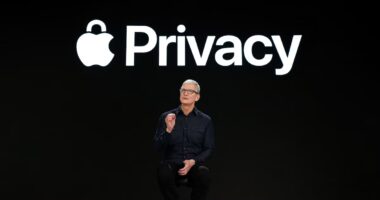 Steve Jobs construiu a Apple; Tim Cook a transformou na maior empresa do mundo