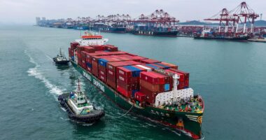 Sustentabilidade: a nova geopolítica da competitividade