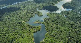 Transição verde mostra progresso, apesar de fragmentação geopolítica, diz Fórum Econômico Mundial