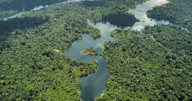 Transição verde mostra progresso, apesar de fragmentação geopolítica, diz Fórum Econômico Mundial