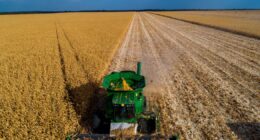 A fome mundial e a produção de alimentos: qual o papel do Brasil nesse cenário?