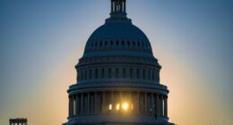 A outra eleição: disputa pelo Congresso dos EUA ameaça o poder aparentemente ilimitado de Trump