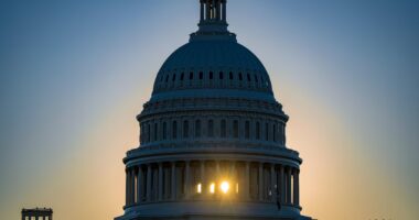 A outra eleição: disputa pelo Congresso dos EUA ameaça o poder aparentemente ilimitado de Trump