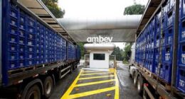 Ambev: volume total de cerveja tem avanço tímido, mas bebida sem álcool cresce 40% no Brasil