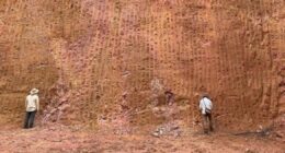 Australiana Lynas anuncia compra da Meteoric e leva projeto de terras raras em MG por R$ 3,48 bi