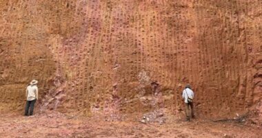 Australiana Lynas anuncia compra da Meteoric e leva projeto de terras raras em MG por R$ 3,48 bi