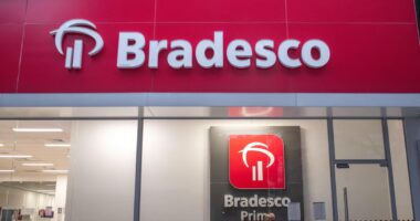 Bradesco cresce lucro sob ventos contrários, mas inadimplência limita recuperação estrutural