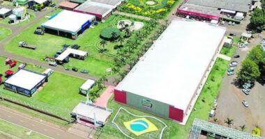 Coopavel investe em armazenagem de grãos para ração
