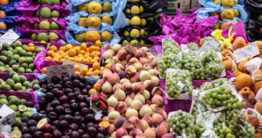 Democracia e cooperativismo: há temas que todos apoiam; segurança alimentar para todos, por exemplo