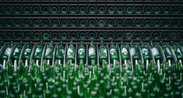 Energia renovável e ingredientes selecionados sustentam a liderança da Heineken® no segmento premium