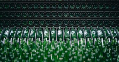 Energia renovável e ingredientes selecionados sustentam a liderança da Heineken® no segmento premium