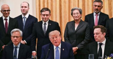Musk diz que vai renomear SpacexAI para SpacexSI após Trump adotar termo Superinteligência