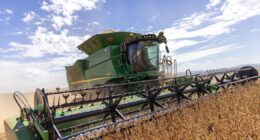O agro brasileiro contraria o Brasil; planta sob incerteza e escreve uma história de coragem
