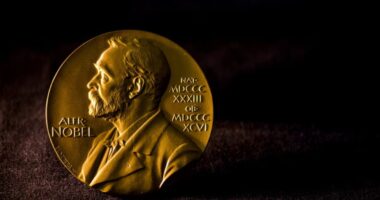 Pesquisadores de IA já ganharam o Nobel. Quando a própria IA levará o seu?