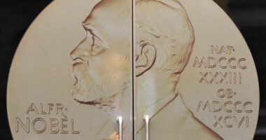 Pesquisadores dos EUA vencem Nobel de Economia por estudo sobre estabilização macroeconômica