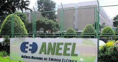 Próximo presidente poderá indicar quase 50 diretores para as agências reguladoras; entenda