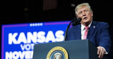 Trump anuncia plano de US$ 8 bilhões para cobrir prejuízos agrícolas
