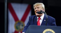 Trump retira tarifas sobre alguns produtos do Canadá antes das eleições de meio de mandato